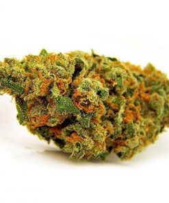 Jack Flash Strain