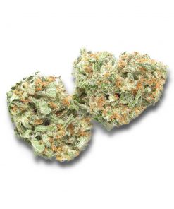 White Rhino marijuana strain